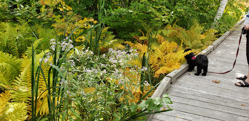 Nature Preserve «Eshqua Bog Natural Area», reviews and photos, Garvin Hill Rd, Woodstock, VT 05091, USA