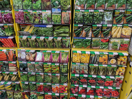 Home Improvement Store «The Home Depot», reviews and photos, 1213 VFW Pkwy, West Roxbury, MA 02132, USA