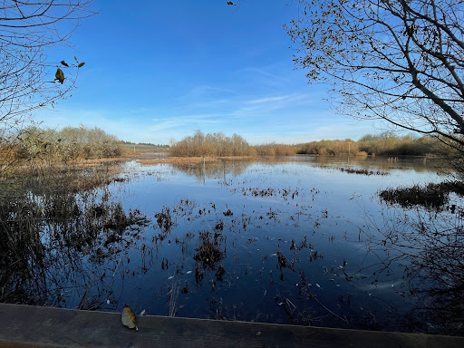 Jackson Bottom Wetlands Preserve