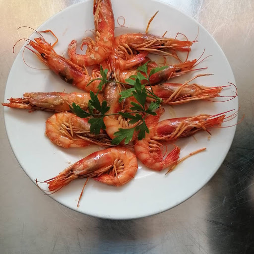 Casa De Colònies L'alberg - Sant Carles De La Ràpita - Delta De L'ebre