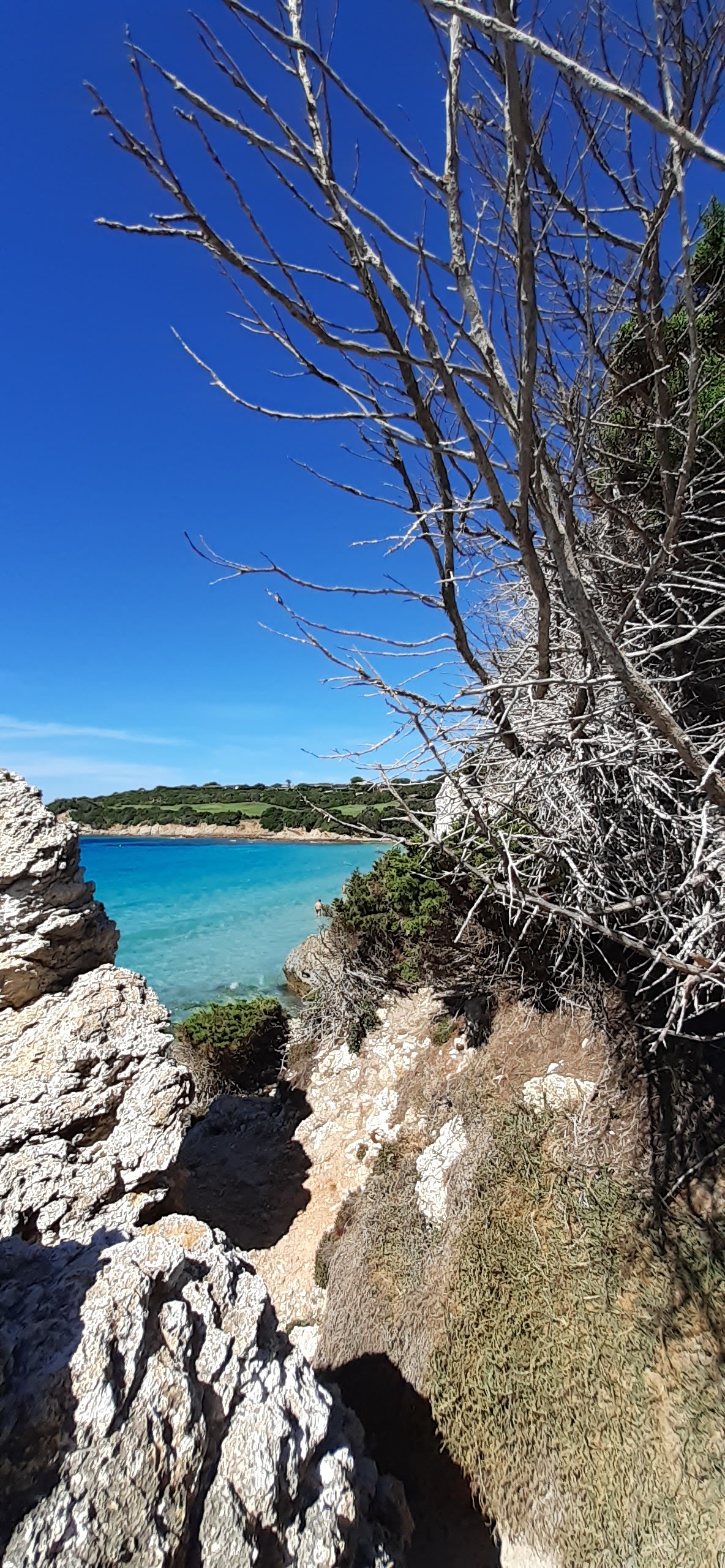 Photo n° 4 de l'avis de Laurent.o fait le 14/09/2022 à 20:05