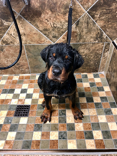 Pet Store «Pet Valu», reviews and photos, 63 Eastern Blvd N, Hagerstown, MD 21740, USA