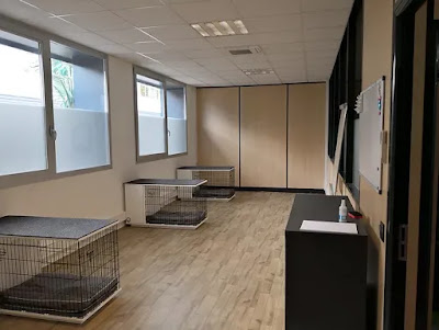 I.O.A Institut Ostéopathique Animalier à Gradignan