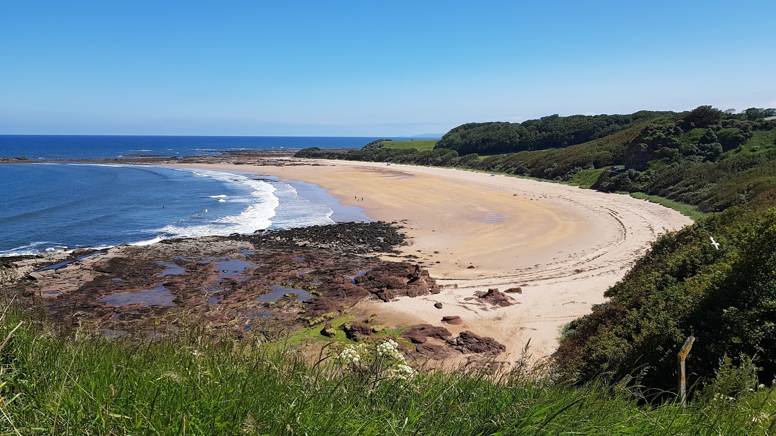 Foto de Praia Seacliff com areia brilhante superfície