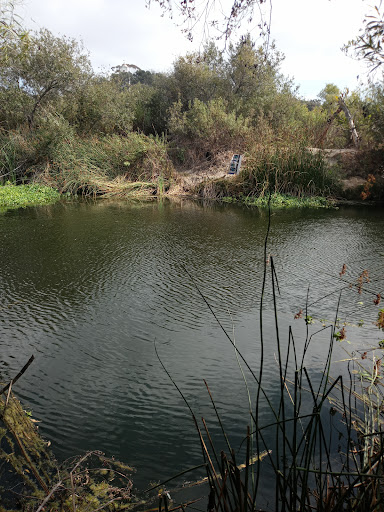 Mission Valley Preserve