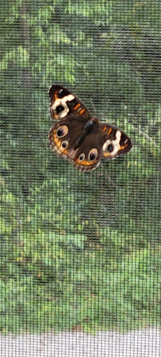 Non-Profit Organization «Lost River Cave», reviews and photos, 2818 Nashville Rd, Bowling Green, KY 42101, USA