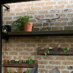 Photo n°3 de l'avis de Meester.u fait le 07/08/2022 à 09:55 sur le  Ristorante L'angoletto à Trevignano Romano