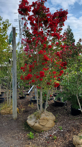 Plant Nursery «Colonial Gardens», reviews and photos, 745 Schuylkill Rd, Phoenixville, PA 19460, USA