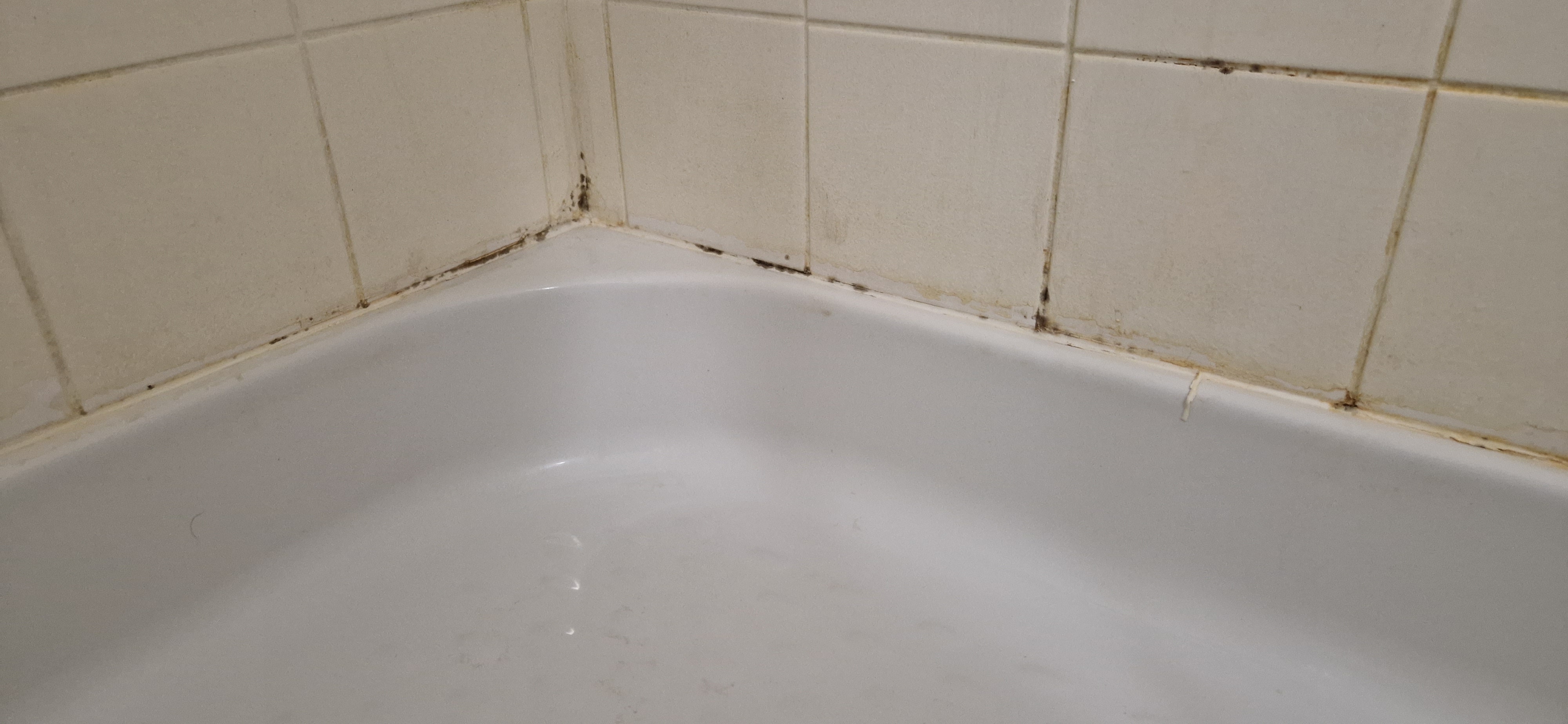 Photo n° 2 de l'avis de Philippe.a fait le 20/11/2022 à 20:55
