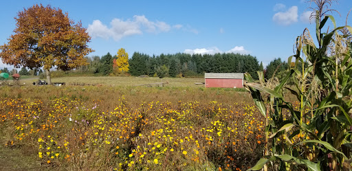 Railroad Company «Flower Farmer», reviews and photos, 2512 N Holly St, Canby, OR 97013, USA