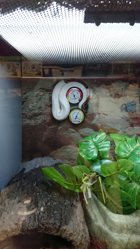 Pet Supply Store «Petco Animal Supplies», reviews and photos, 3012 Bridgepointe Pkwy, San Mateo, CA 94404, USA