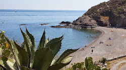 Plage de l'Ouille'in fotoğrafı imkanlar alanı