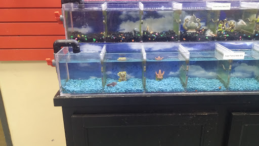 Fish Store «Aquatek Tropical Fish», reviews and photos, 8023 Burnet Rd # 1, Austin, TX 78757, USA