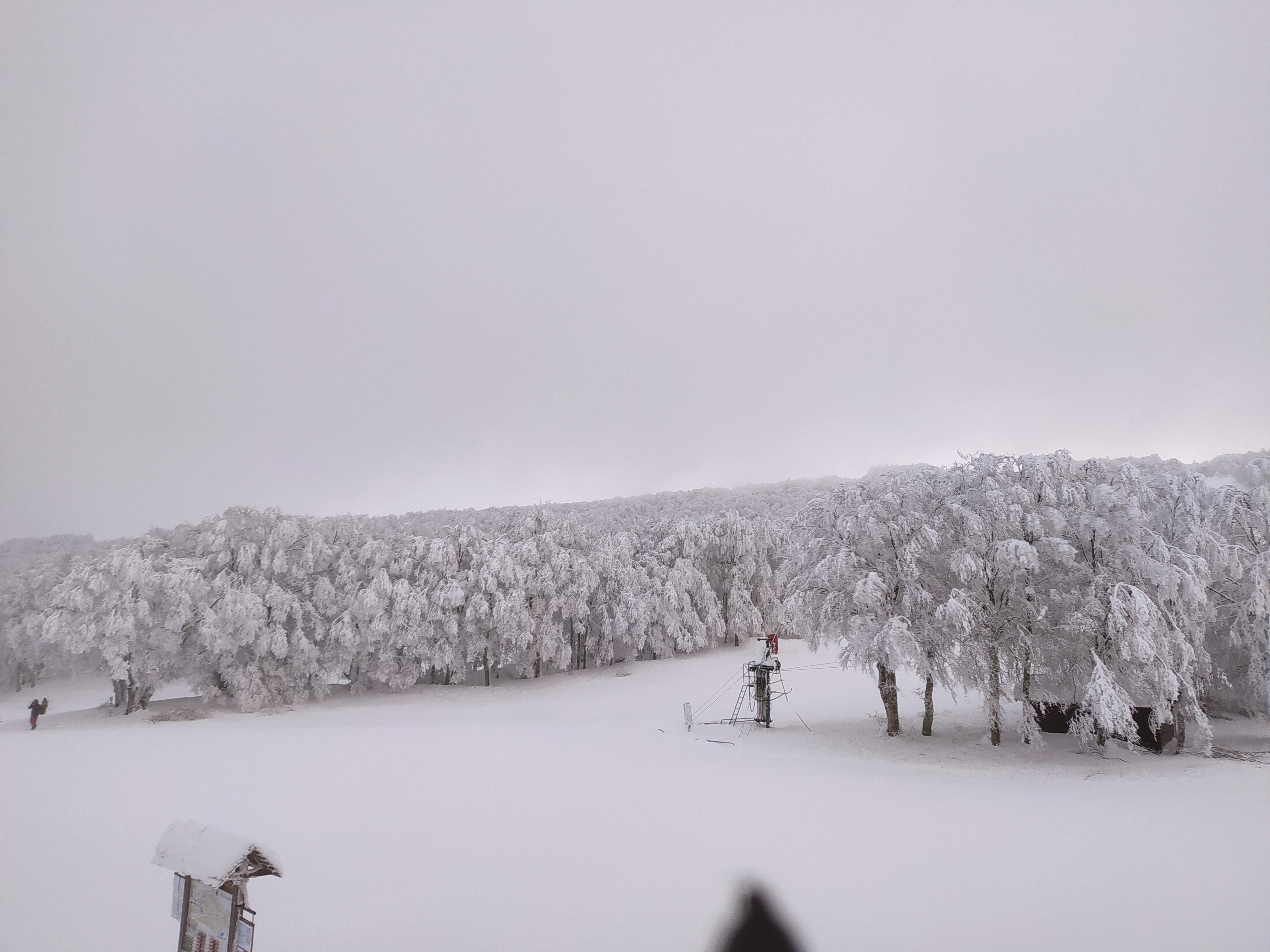 Photo n° 1 de l'avis de thibaut.e fait le 21/01/2021 à 16:03