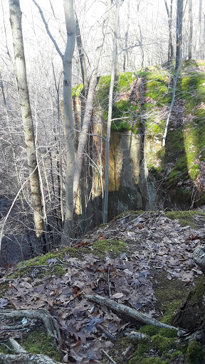 Nature Preserve «Fern Cliff Nature Preserve», reviews and photos, W County Rd 375 S, Greencastle, IN 46135, USA