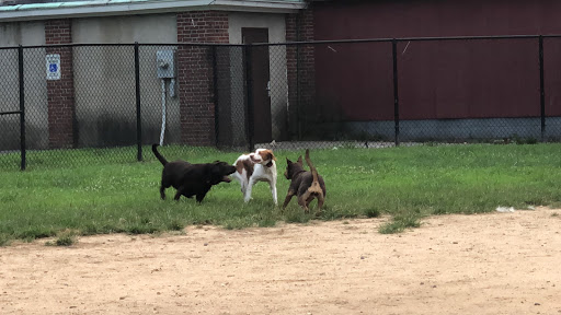 Dog Park «Eisenhower Dog Park», reviews and photos, 576 Salisbury Park Dr, Westbury, NY 11590, USA