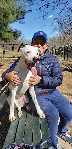 Dog Park «Forest Park Dog Run», reviews and photos, 8445 Park Ln S, Woodhaven, NY 11421, USA