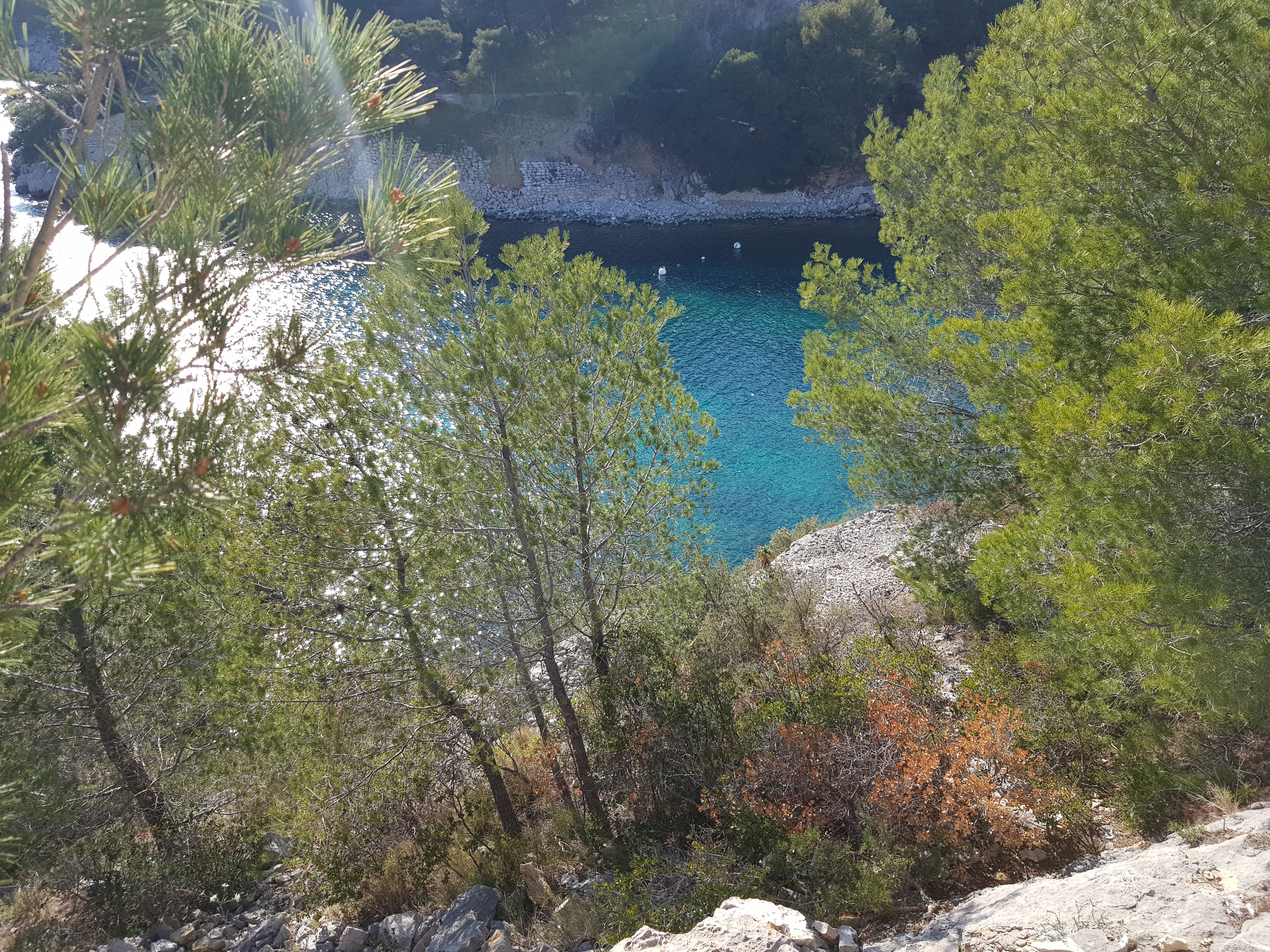 Photo n° 16 de l'avis de b.a fait le 29/03/2018 à 12:05
