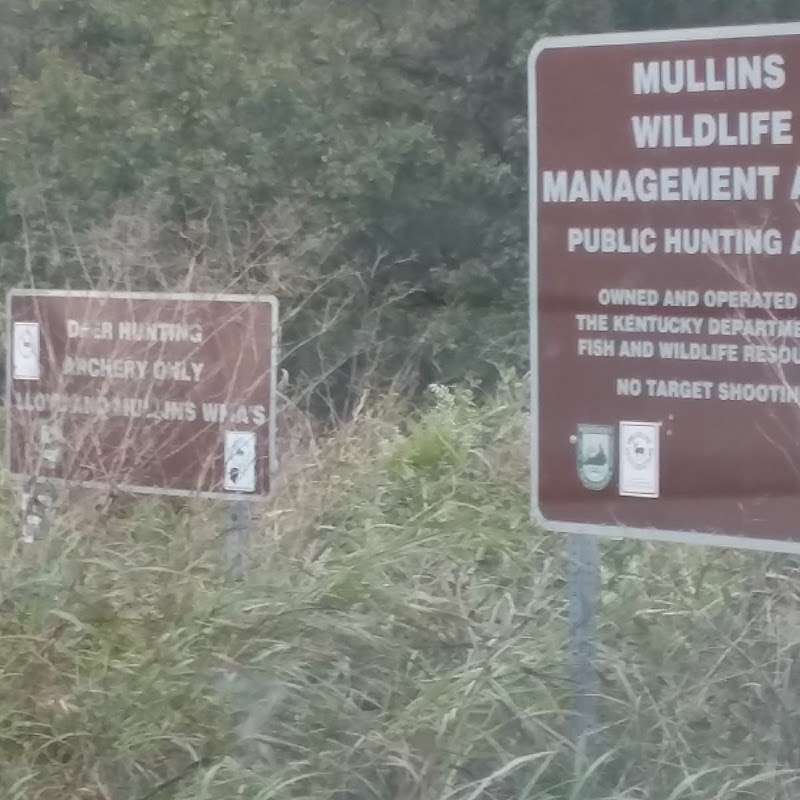 Mullins Wildlife Management Area
