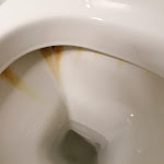 Photo n°16 de l'avis de Helmut.c fait le 03/10/2022 à 19:17 sur le  Hotel Nettuno à Bardolino