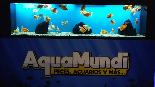 Acuario Aquamundi