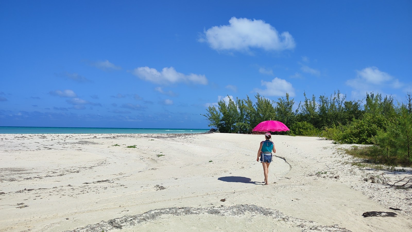 Fotografie cu Isla de Pasion - locul popular printre cunoscătorii de relaxare