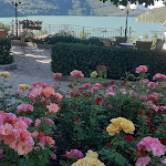 Photo n°1 de l'avis de GIULIANO.A fait le 26/06/2023 à 09:32 sur le  Hotel Miralago à Molveno