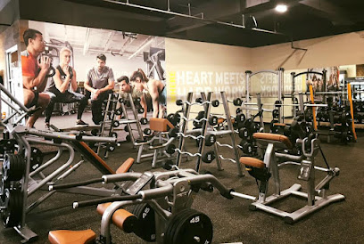 Gold,s Gym - 1225 Middle Country Rd, Middle Island, NY 11953
