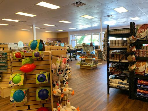 Barking Dogs Self Wash and Grooming - Mesa