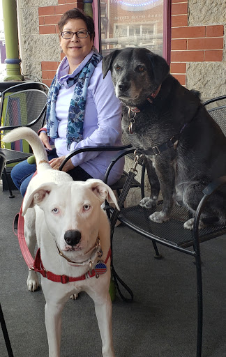 Wine Store «Castlerigg Wine Shop», reviews and photos, 110 S Hanover St, Carlisle, PA 17013, USA