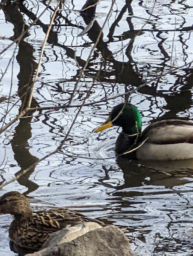 Park «Fort Dent Park», reviews and photos, 6800 Fort Dent Way, Tukwila, WA 98188, USA