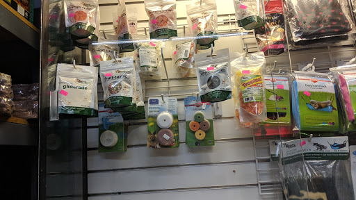 Pet Store «CUSTOM CREATURES PET SHOP», reviews and photos, 10727 N 19th Ave, Phoenix, AZ 85029, USA