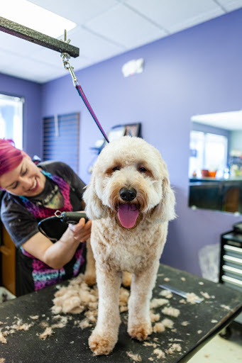 Pet Groomer «Hair Of The Dog», reviews and photos, 10850 W Laraway Rd STE 3E, Frankfort, IL 60423, USA