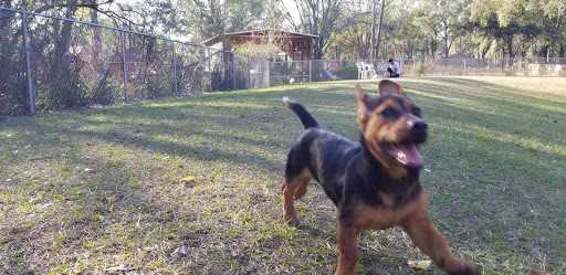 Park «Lutz Dog Park», reviews and photos, 122 1st Ave SW, Lutz, FL 33548, USA