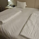 Photo n°4 de l'avis de SteveW.1 fait le 11/11/2023 à 20:09 sur le  Delta Hotels by Marriott Frankfurt Offenbach à Offenbach