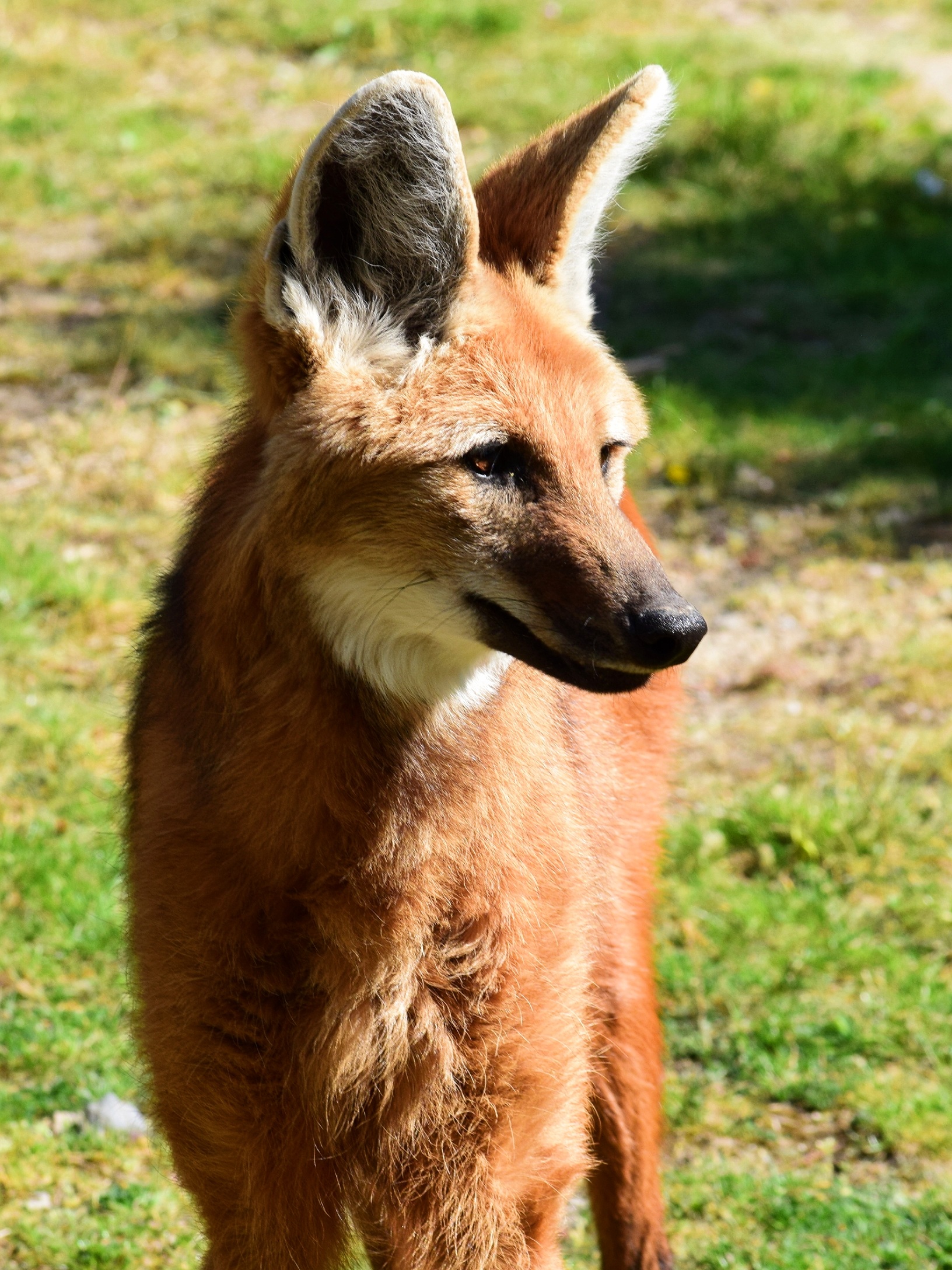 Photo n° 2 de l'avis de Caroline. fait le 23/04/2022 à 15:11