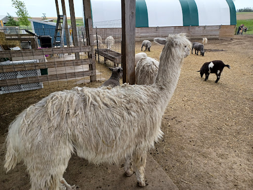 Park «Bloomsbury Farm», reviews and photos, 3260 69th St, Atkins, IA 52206, USA