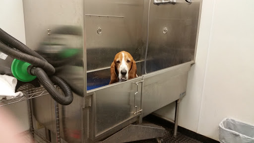 Pet Supply Store «Incredible Pets», reviews and photos, 649 Sutton Way, Grass Valley, CA 95945, USA