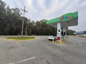 Gasolinera VIVO