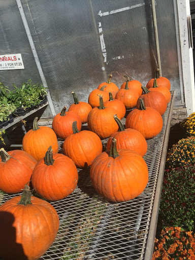 Florist «Pletschers», reviews and photos, 641 Old Hwy 8 SW, New Brighton, MN 55112, USA