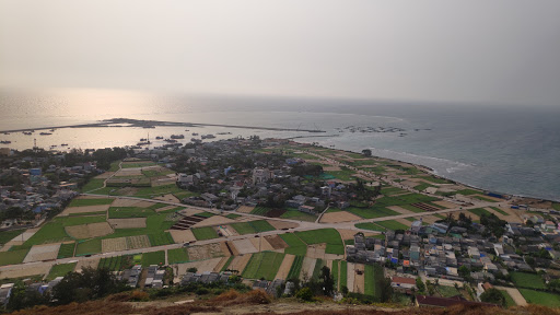 Top 20 cửa hàng akemi Huyện Lý Sơn Quảng Ngãi 2022