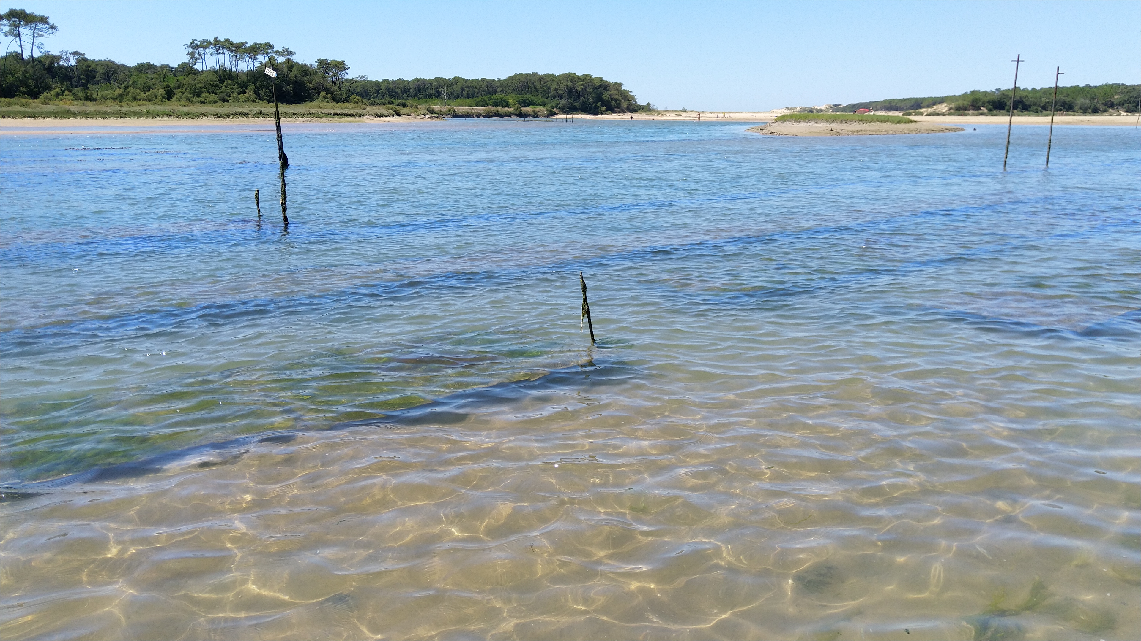 Photo n° 6 de l'avis de didier.r fait le 13/07/2020 à 21:10