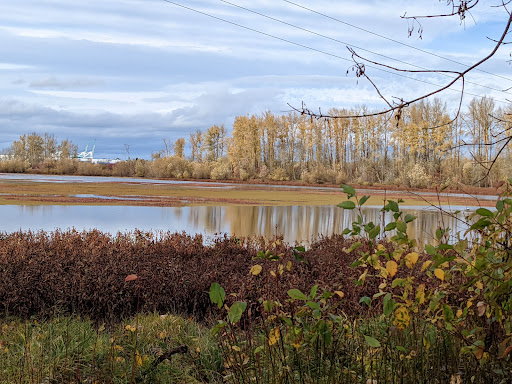 Nature Preserve «Smith and Bybee Wetlands Natural Area», reviews and photos, 5300 N Marine Dr, Portland, OR 97203, USA