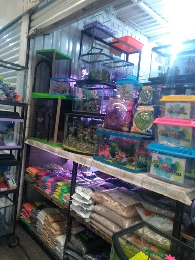 Mercado de Peces y Mascotas 