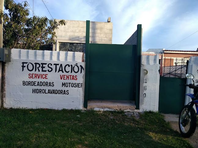 Forestacion Y Garden