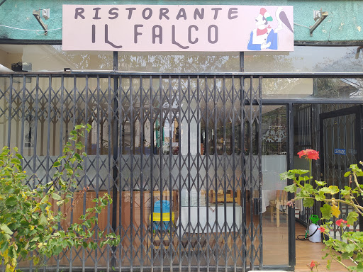 Il Falco