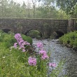 Allegheny Aqueduct Historical Park