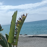 Photo n°5 de l'avis de giuseppe.e fait le 05/09/2021 à 11:27 sur le  Ristorante pizzeria Charly 2 à Falerna Scalo