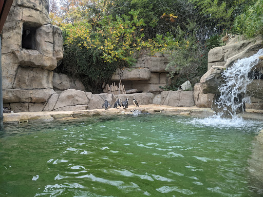 Zoo «Dallas Zoological Society», reviews and photos, 650 S R L Thornton Fwy, Dallas, TX 75203, USA