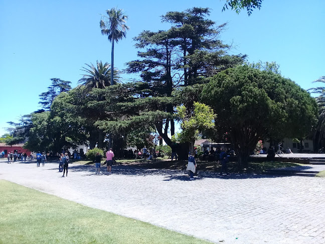 Opiniones de Plazuela Del Gentilhombre en Colonia - Museo